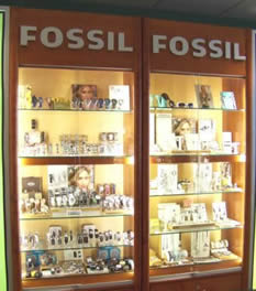 Fossil